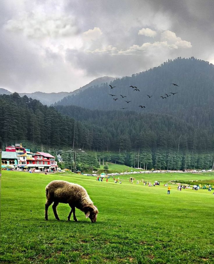 Day8:Khajjiar Sightseeing Day8:Khajjiar Sightseeing