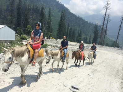 Day 4: Manali Local Sightseeing
