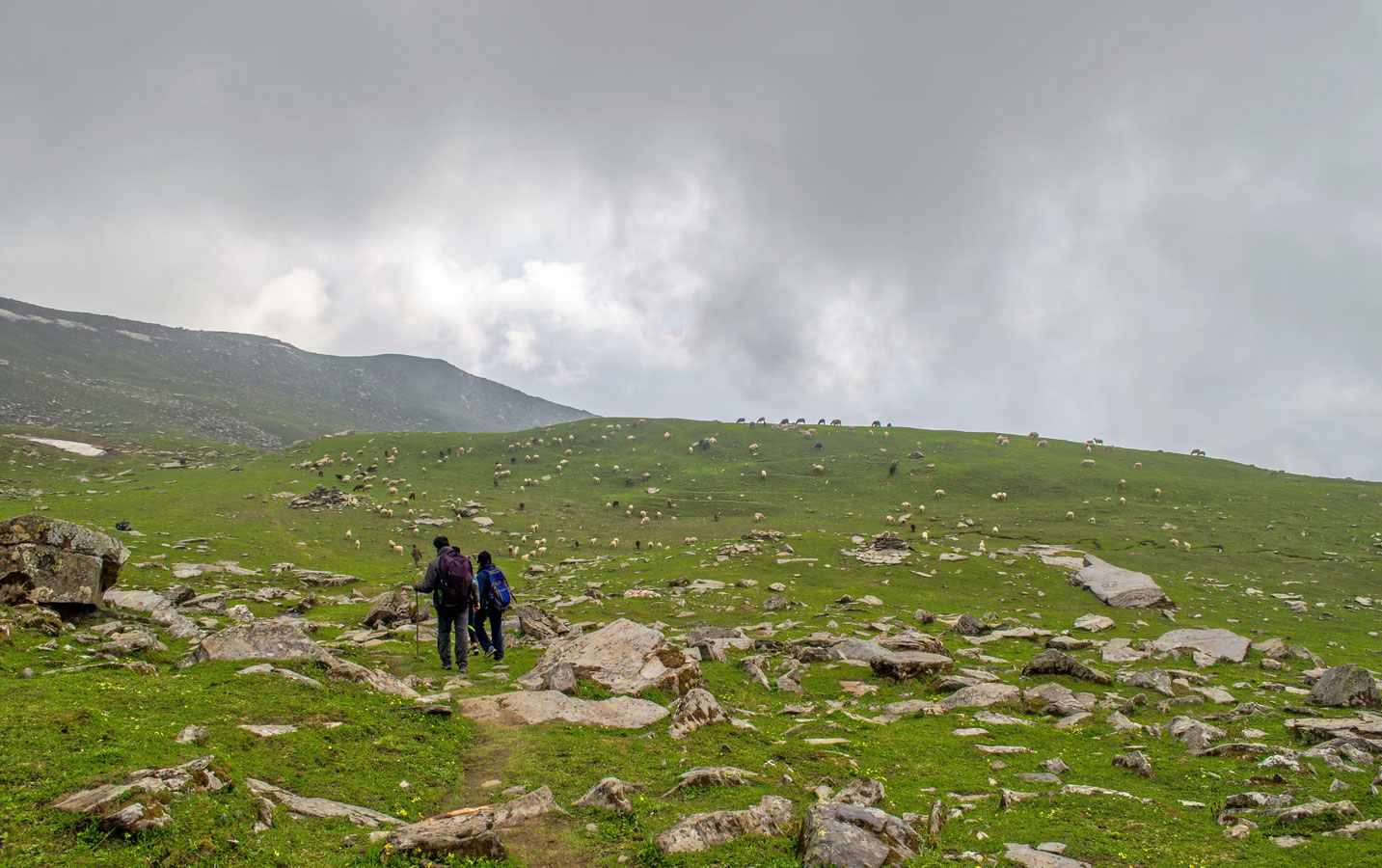 Day 2: Gulaba to Rola Kholi