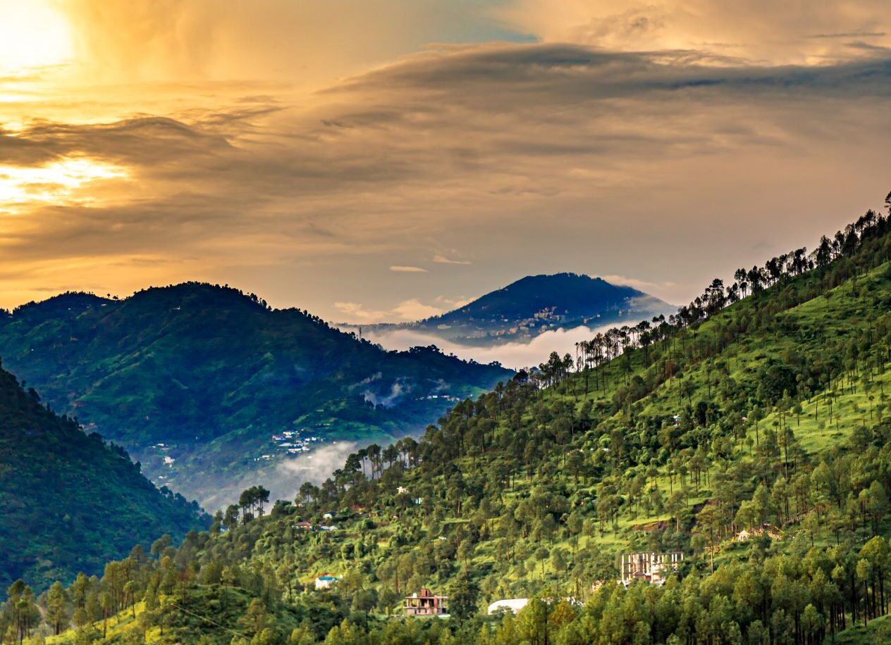 Shimla to Dharamshala 