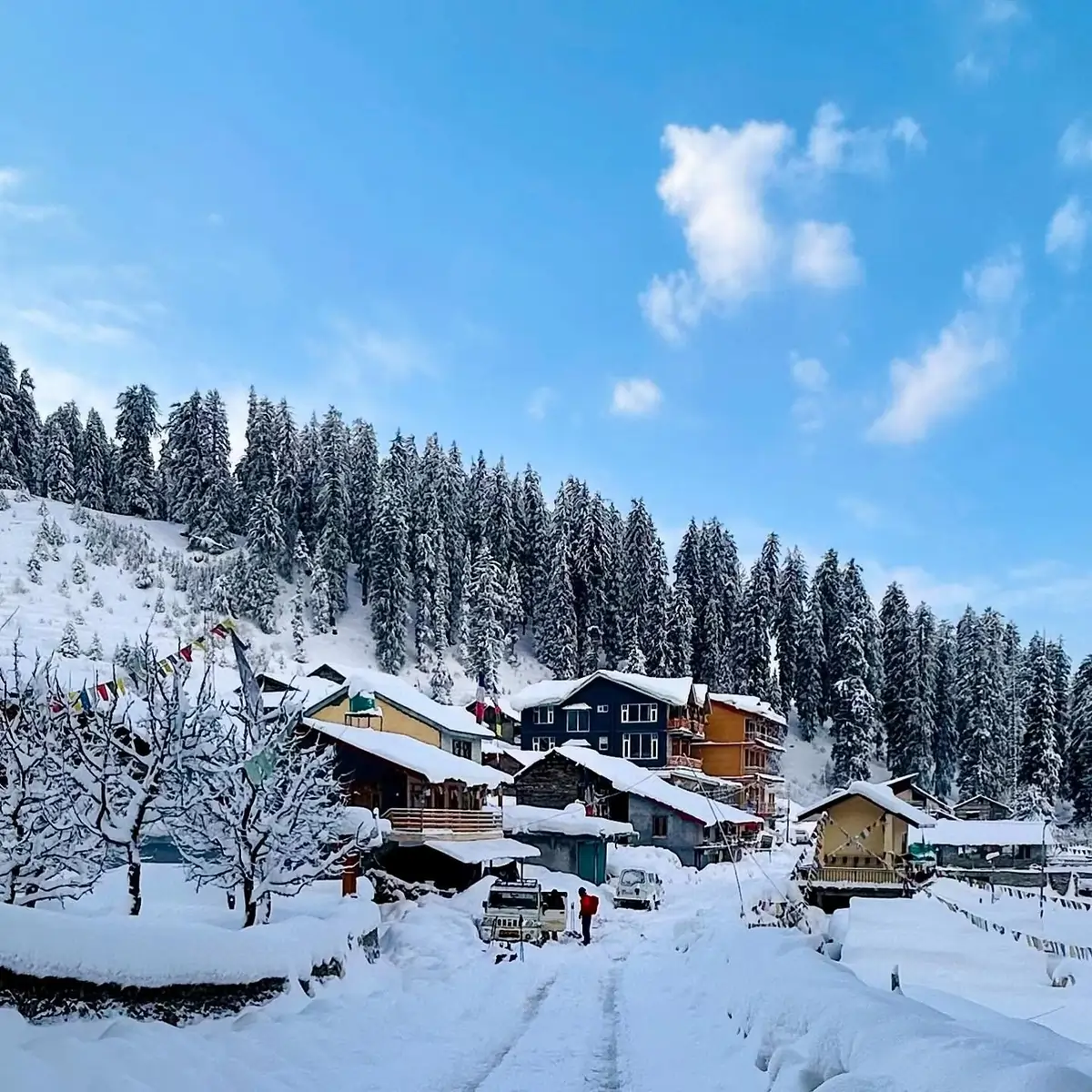 Arrival in Manali & Local Sightseeing
