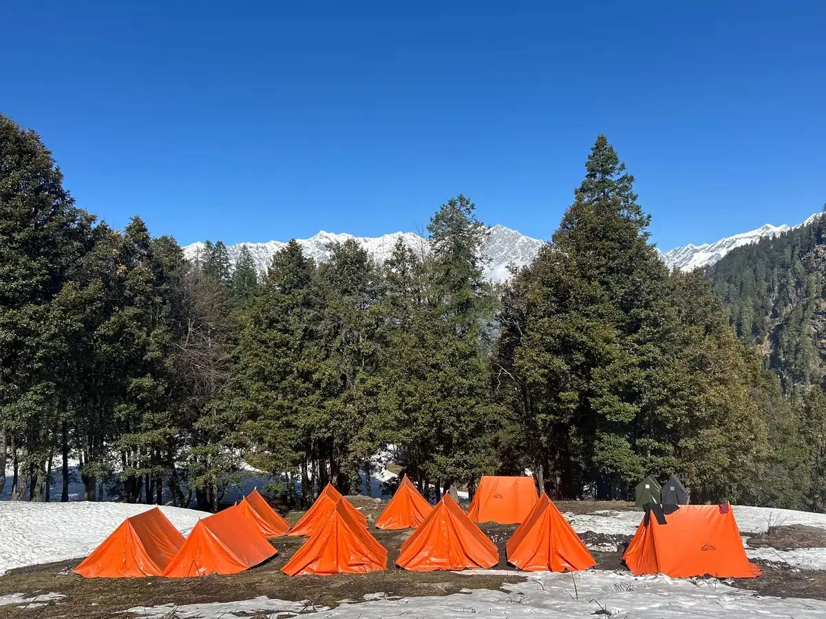 Day 4: Rola Kholi to Gulaba – Drive back to Manali