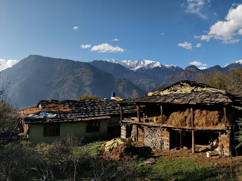Day 1: Arrive at Base Camp – Chhetti Village