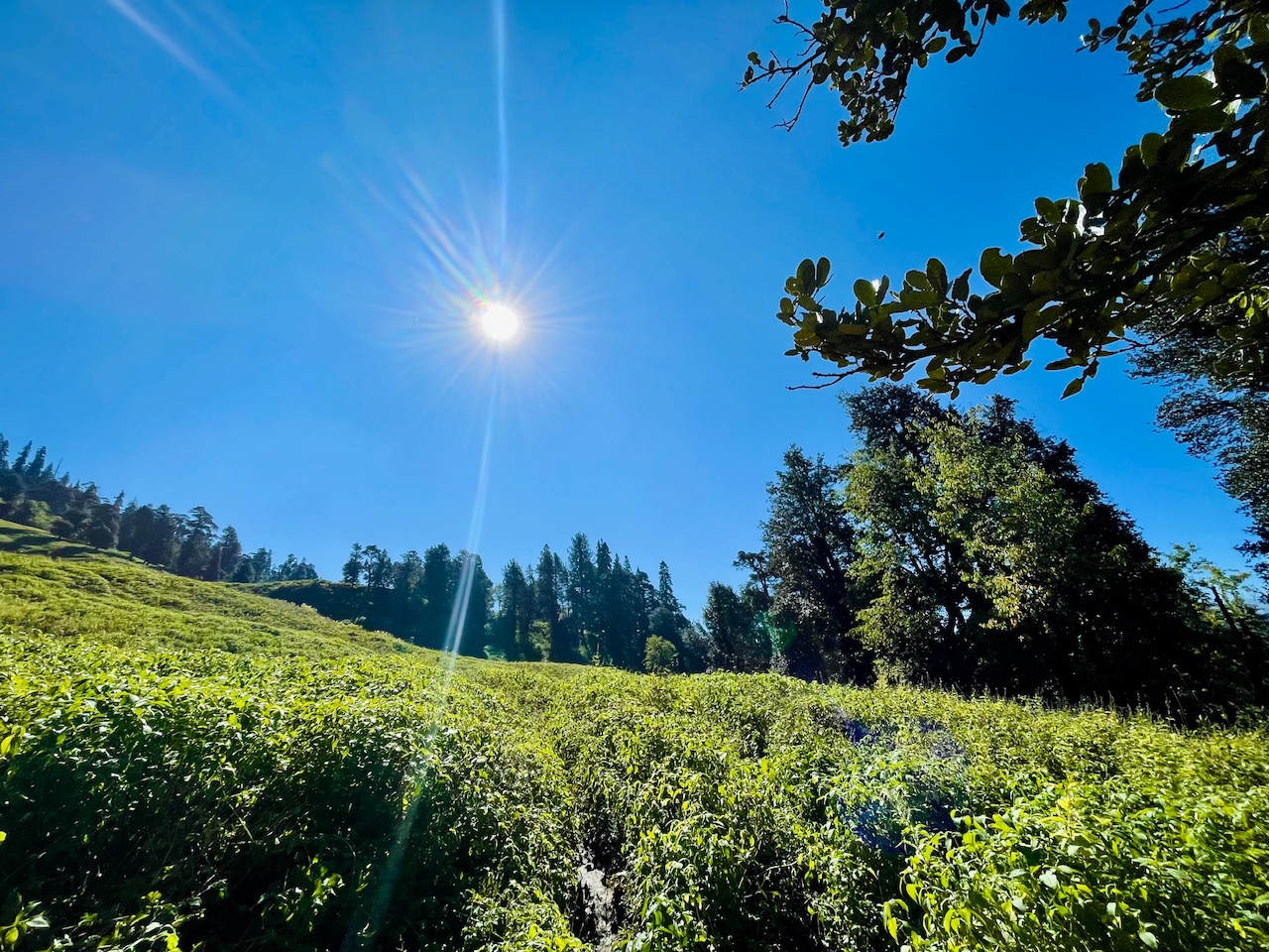 Day 4: Shagadugh to Solang / Shanag – Drive to Hirni / Manali