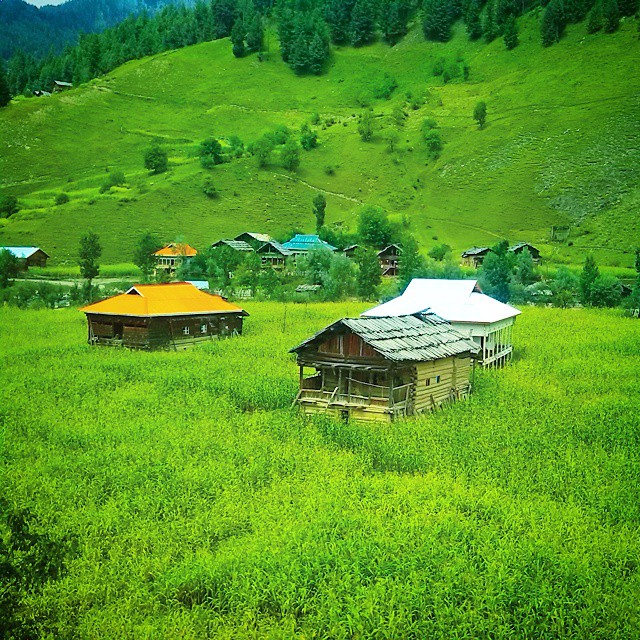 Day 1: Arrival at Patlikuhl – Transfer to Base Camp Hirni