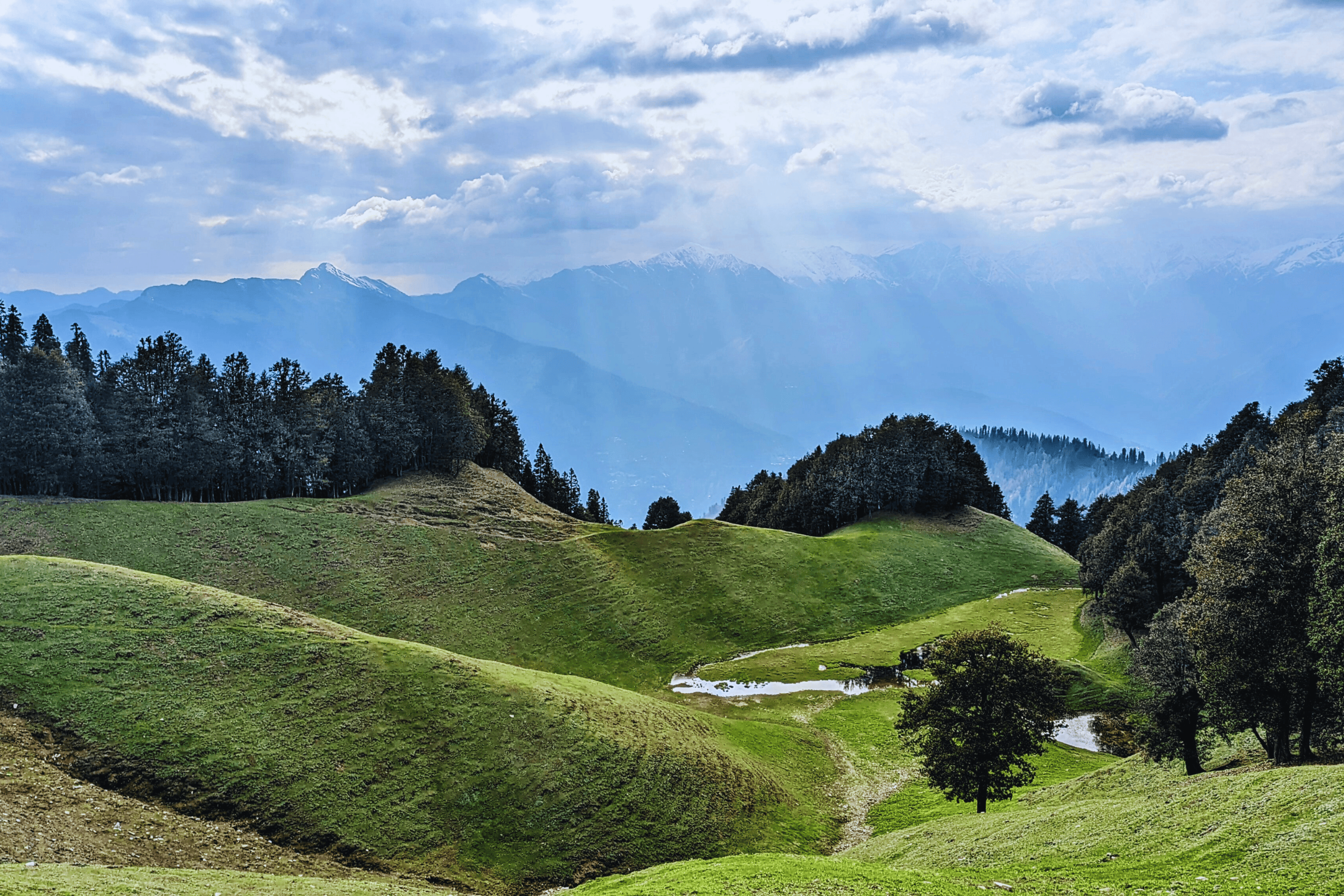 Day 6: Departure – Drop at Patlikuhl or Manali