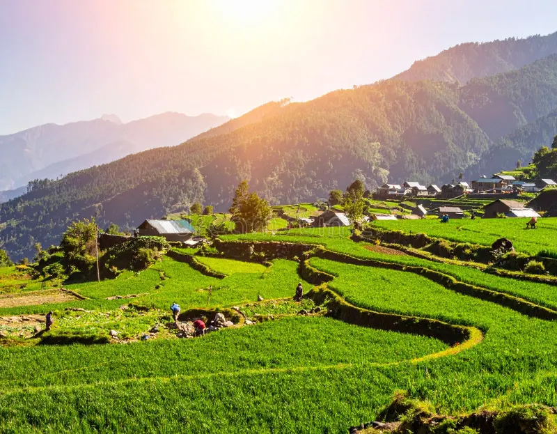 Manali with Exclusive Rewalsar Tour Package