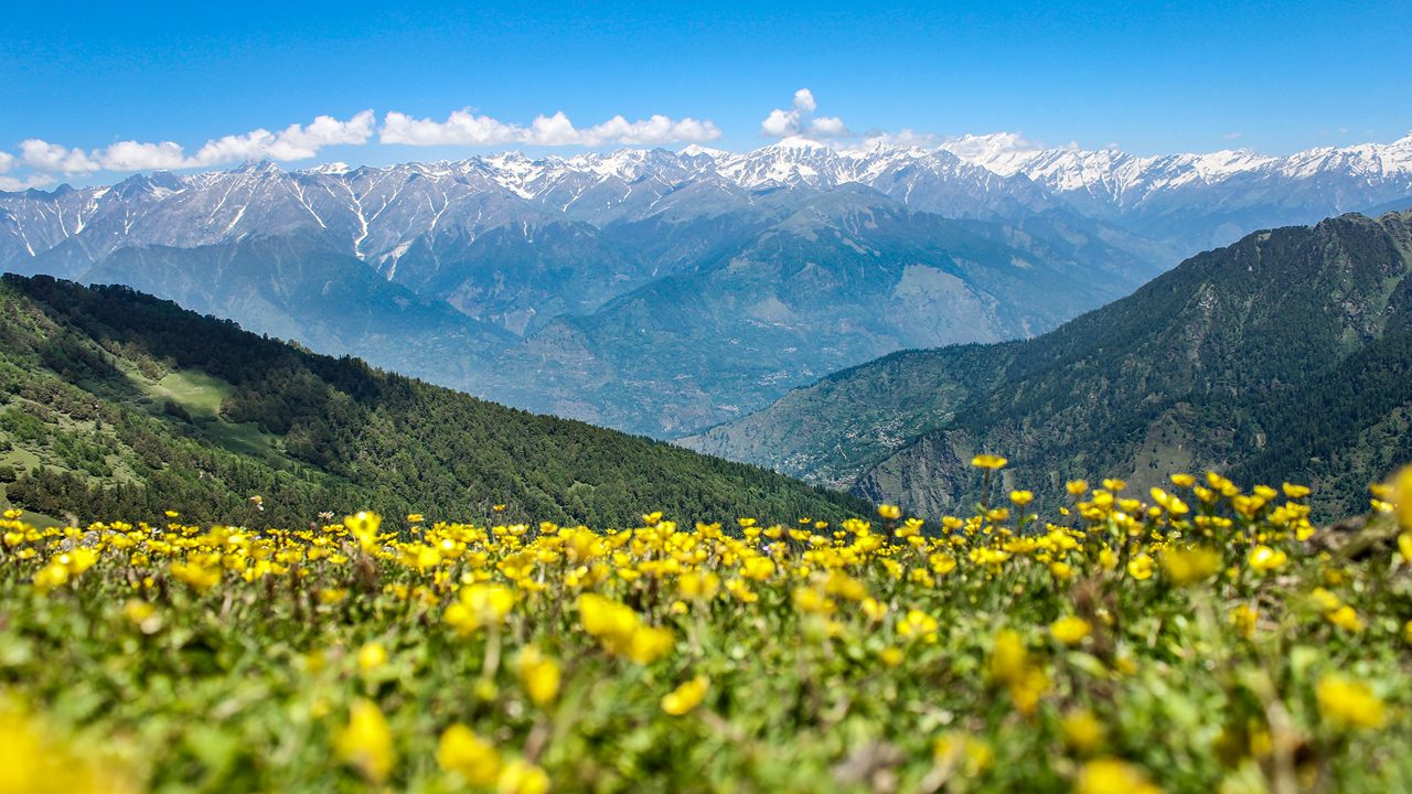 Rumtu Top Trek 